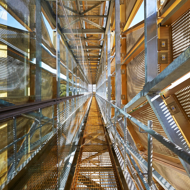 ECU Building 34_800x800Project_1